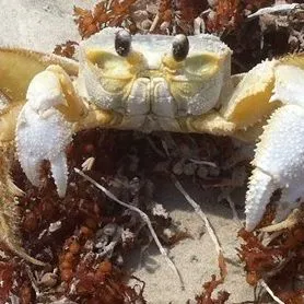 thumbnail for publication: Aquatic and Marine Ecosystems: Leader's Activity Guide—Introduction